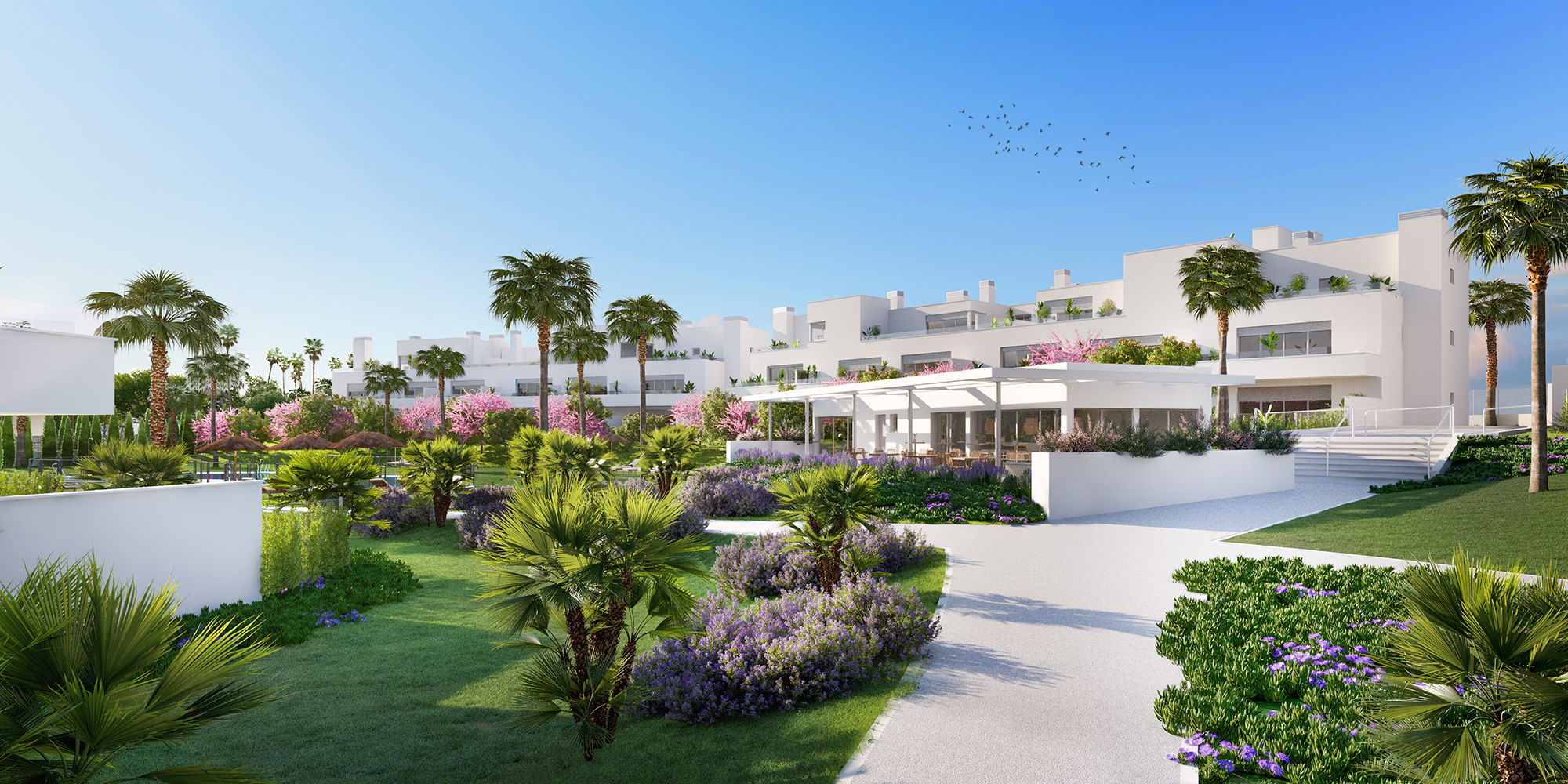 EXCLUSIVA PROMOCION  AQUA GARDEN — imagen 5