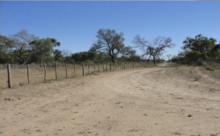 CAMPO PARA EXPLOTACIÓN AGRÍCOLA Y GANADERO — imagen 2