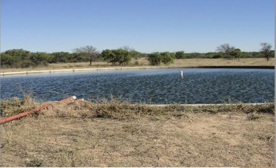 CAMPO PARA EXPLOTACIÓN AGRÍCOLA Y GANADERO — imagen 3