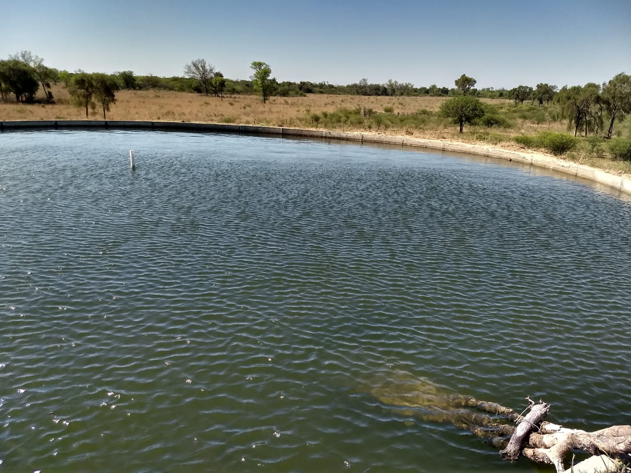 CAMPO PARA EXPLOTACIÓN AGRÍCOLA Y GANADERO — imagen 7