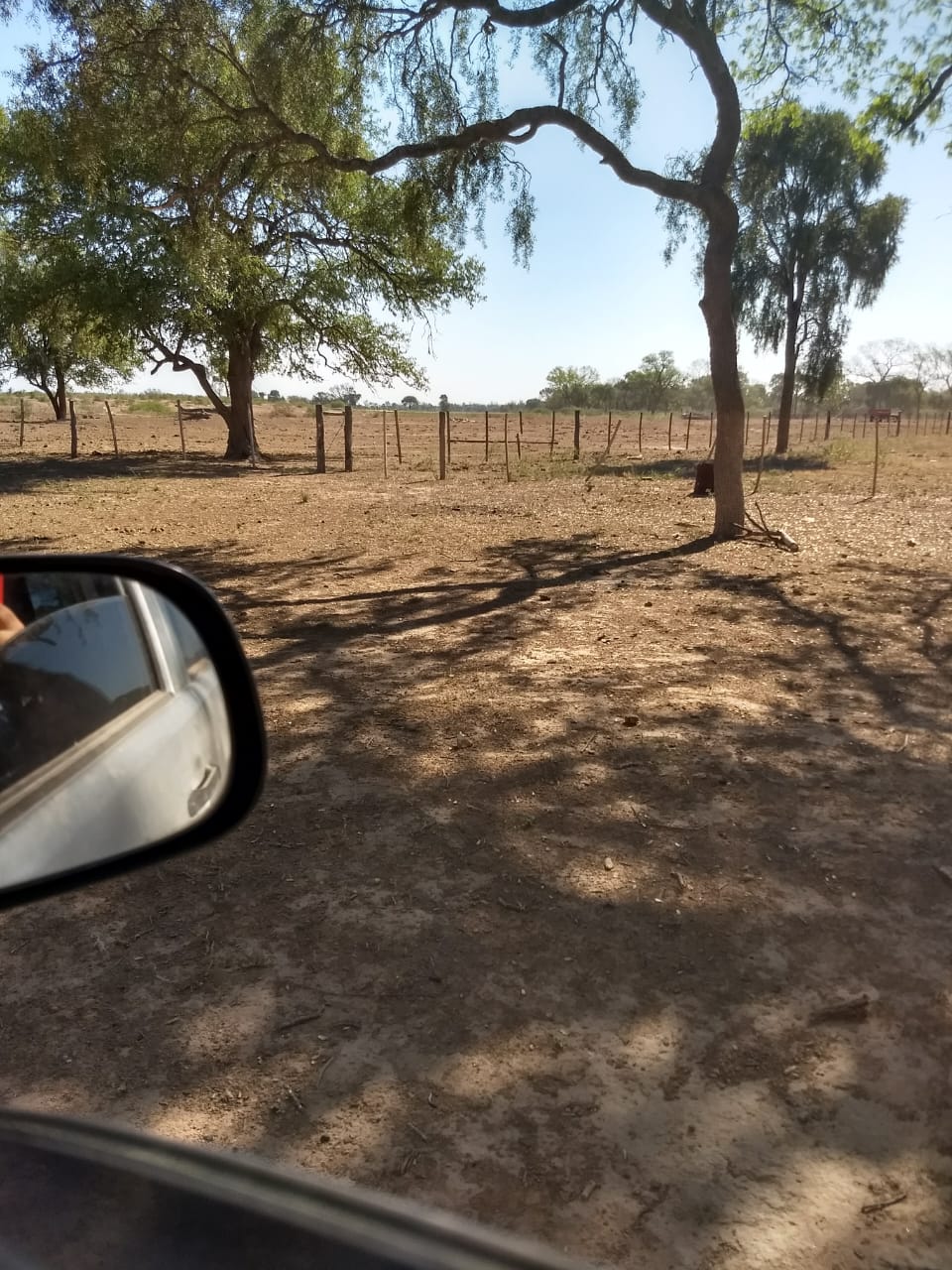 CAMPO PARA EXPLOTACIÓN AGRÍCOLA Y GANADERO — imagen 8