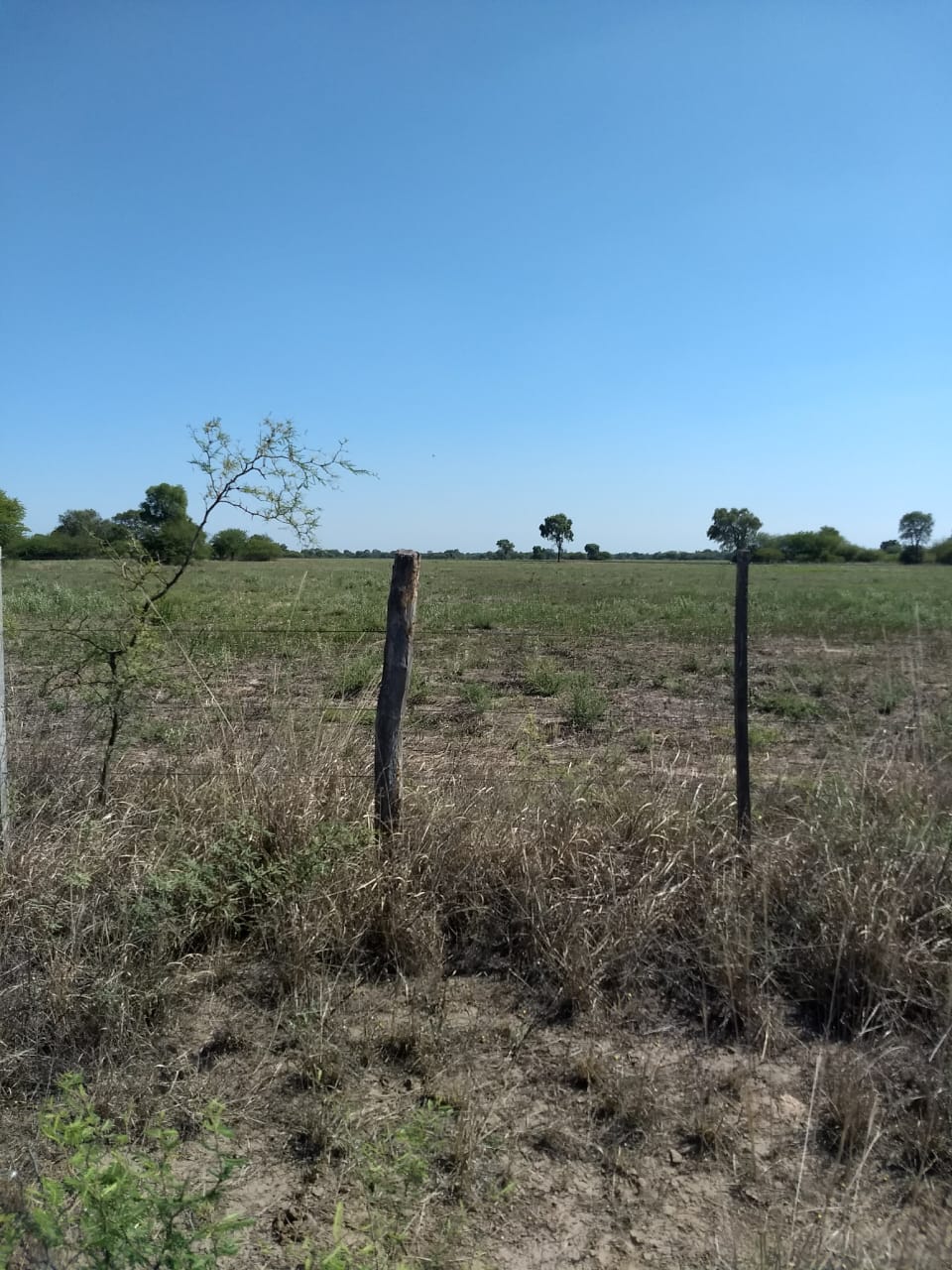 CAMPO PARA EXPLOTACIÓN AGRÍCOLA Y GANADERO — imagen 11