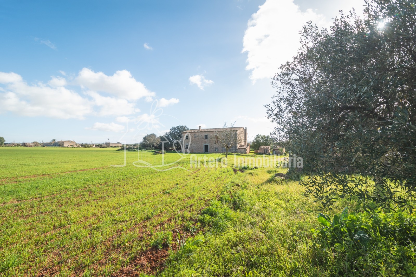 Finca Histórica en Algaida, Mallorca — imagen 5