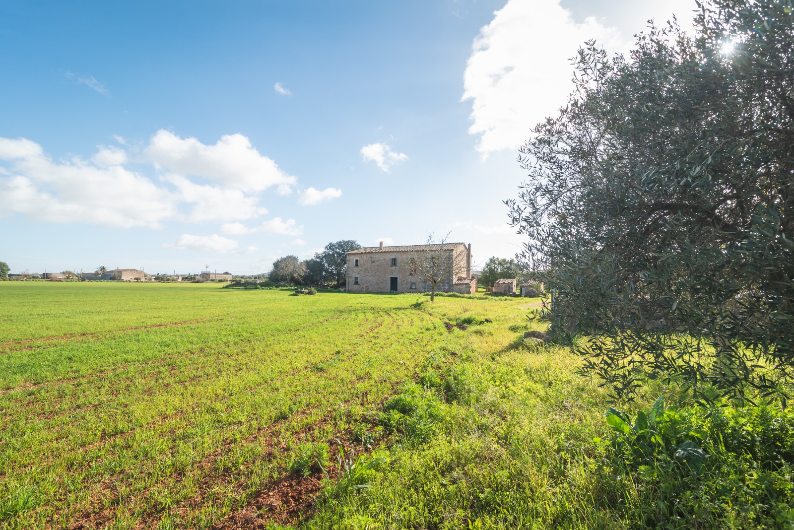 Finca Histórica en Algaida, Mallorca — imagen 6