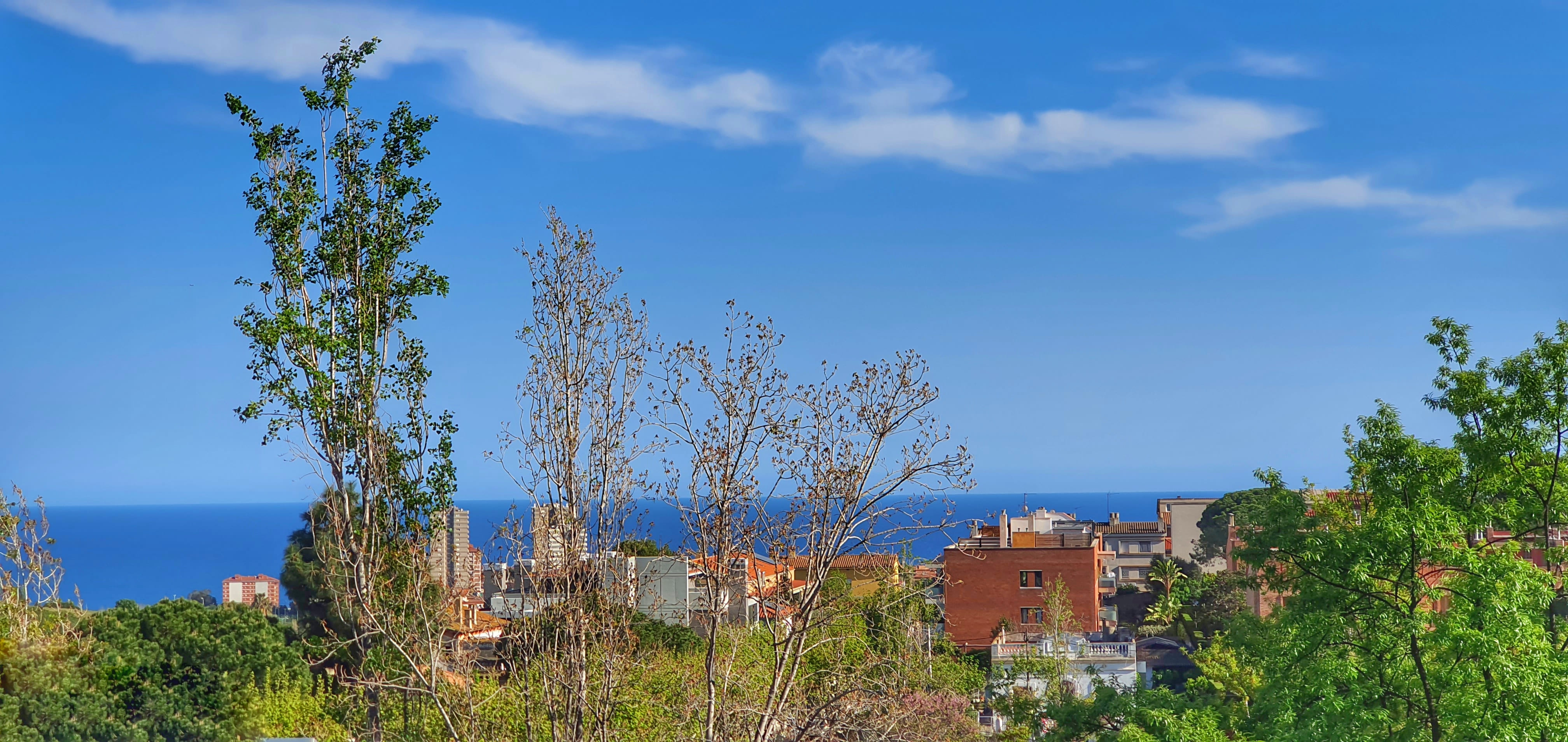 Exclusiva Villa de Estilo Inglés con Piscina Privada y Vistas al Mar - Barcelona — imagen 46