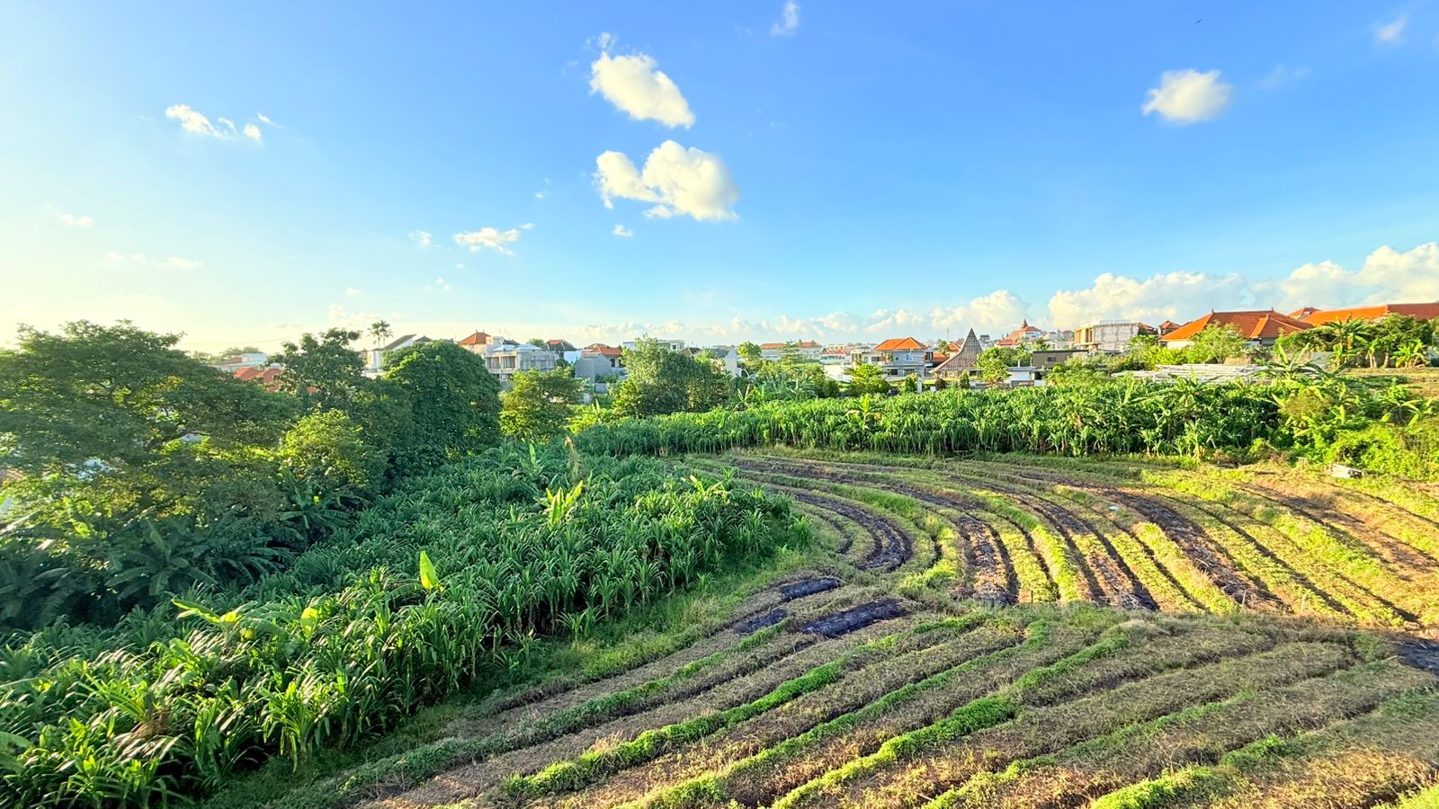 Villa moderna de 3 dormitorios a estrenar con vistas a los arrozales – Canggu, Bali — imagen 10