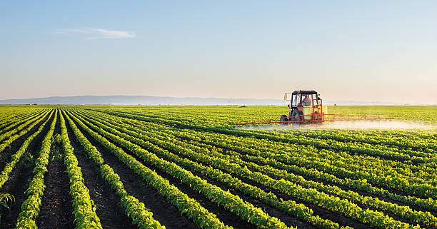 CAMPO PARA EXPLOTACIÓN AGRÍCOLA Y GANADERO
