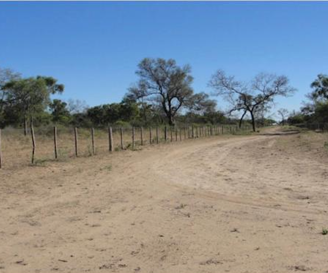 CAMPO PARA EXPLOTACIÓN AGRÍCOLA Y GANADERO — imagen 2