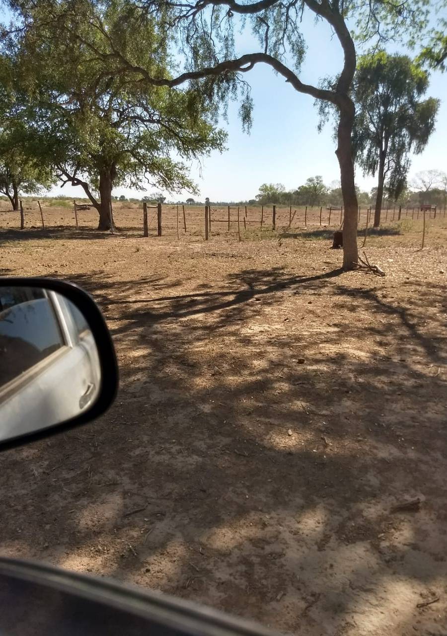 CAMPO PARA EXPLOTACIÓN AGRÍCOLA Y GANADERO — imagen 8