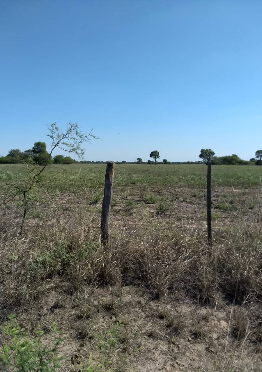CAMPO PARA EXPLOTACIÓN AGRÍCOLA Y GANADERO — imagen 11