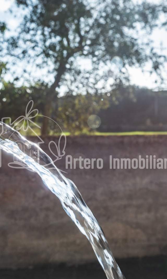 Finca Histórica en Algaida, Mallorca — imagen 3