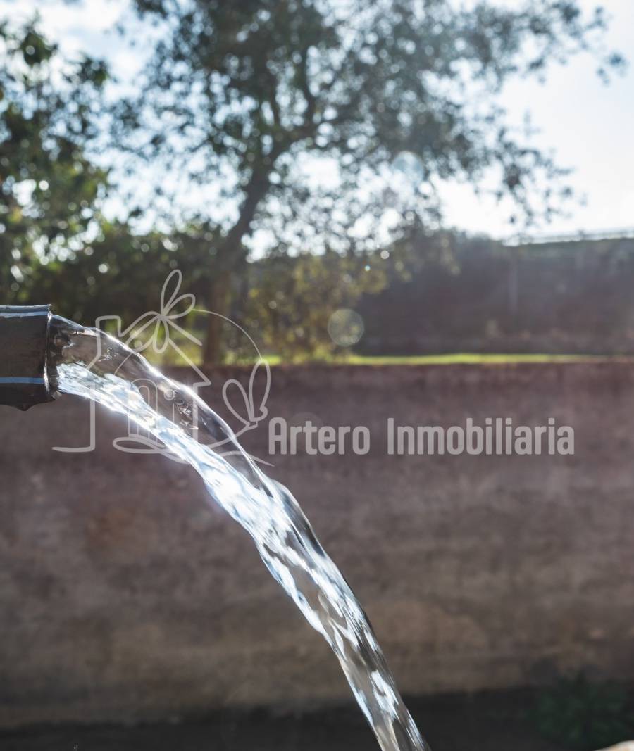 Finca Histórica en Algaida, Mallorca — imagen 3