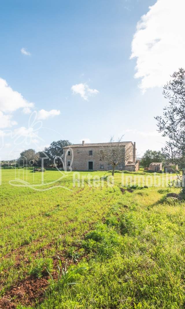 Finca Histórica en Algaida, Mallorca — imagen 5