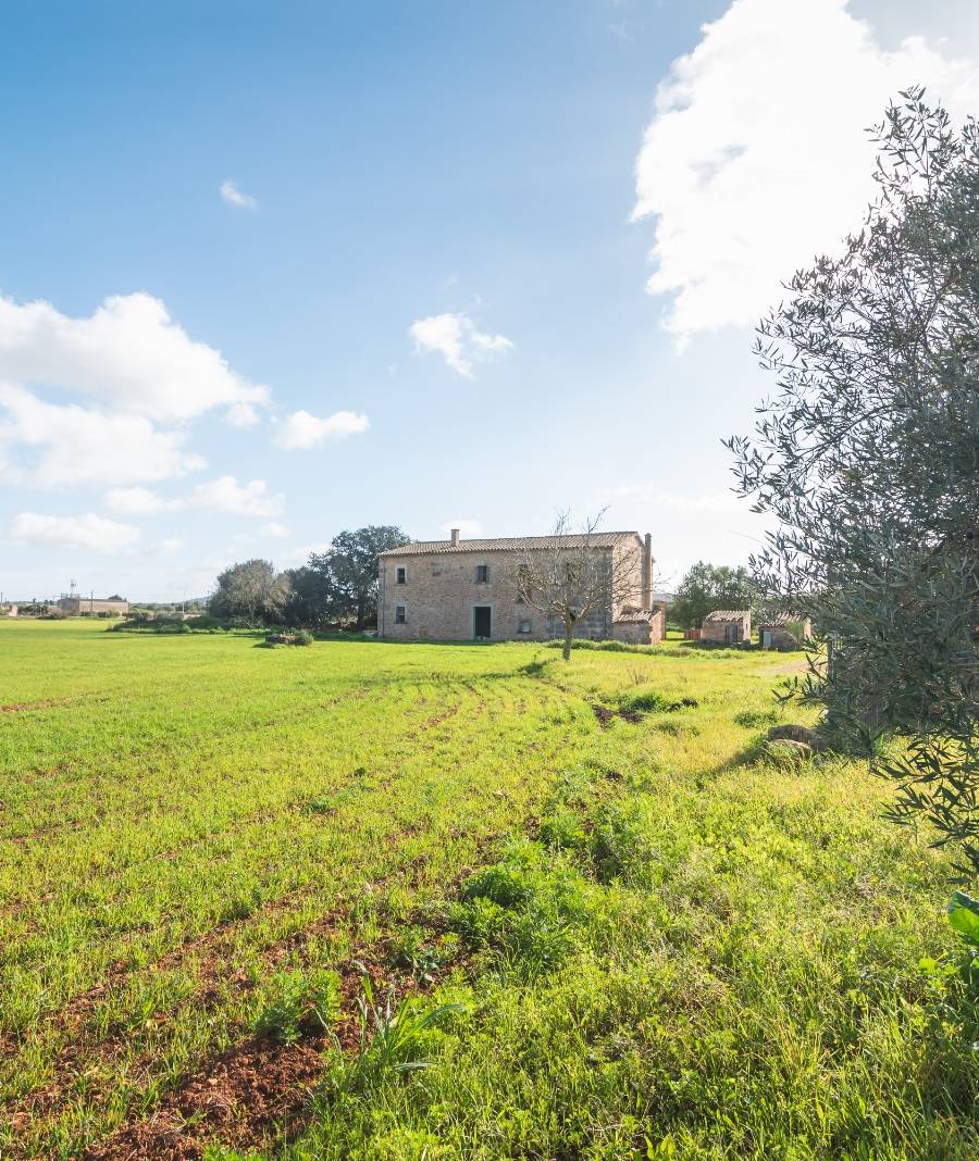 Finca Histórica en Algaida, Mallorca — imagen 6
