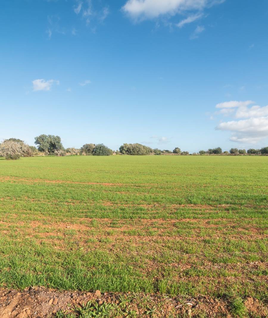 Finca Histórica en Algaida, Mallorca — imagen 18