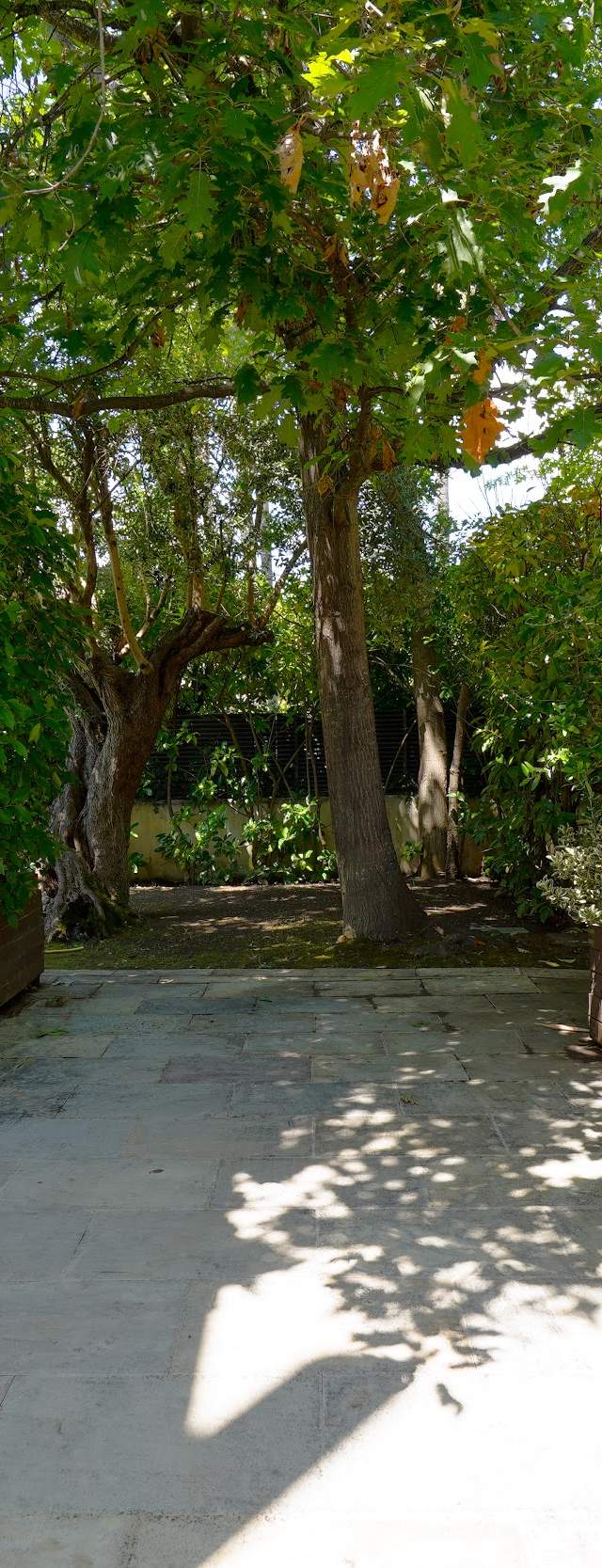 CHALET EN PLATJA D'ARO — imagen 5