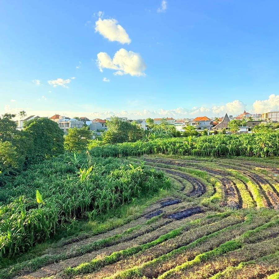 Villa moderna de 3 dormitorios a estrenar con vistas a los arrozales – Canggu, Bali — imagen 9